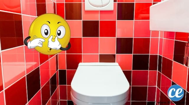 How To Eradicate Urine Smell In Toilets (And Make It Smell Clean). 