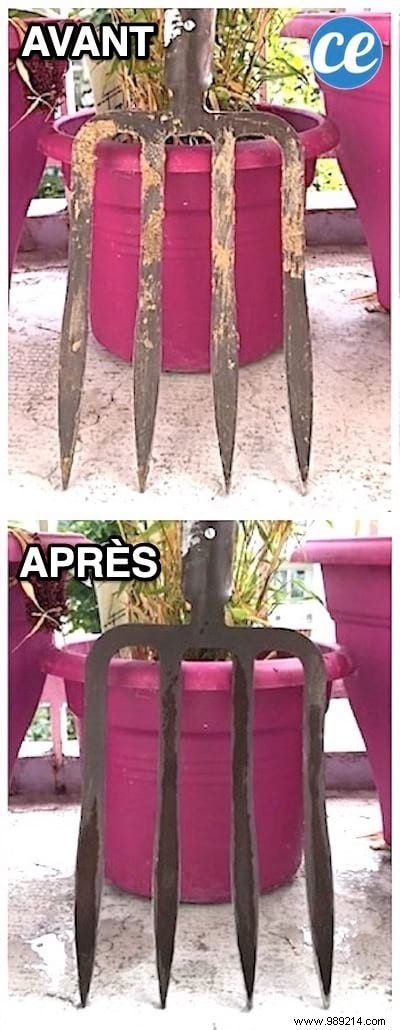 The Miracle Tip To Remove Rust From Garden Tools. 