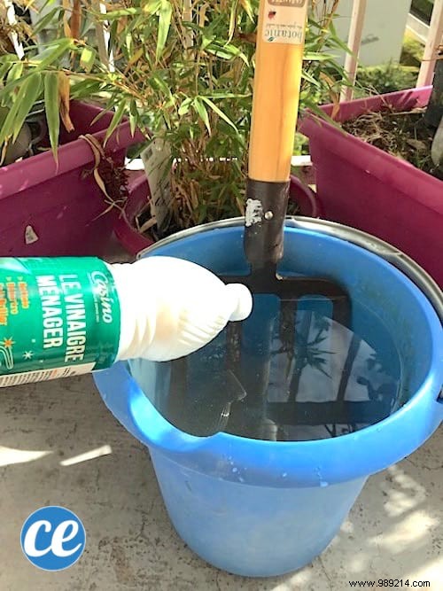 The Miracle Tip To Remove Rust From Garden Tools. 