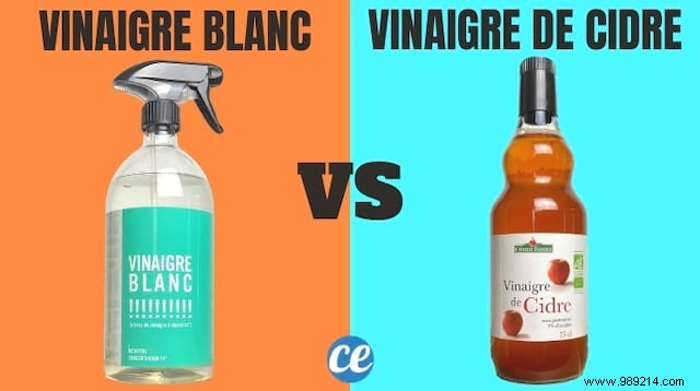 Here s The Real Difference Between White Vinegar And Apple Cider Vinegar. 
