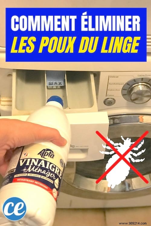 Trick To Eliminate Lice On Laundry With White Vinegar. 