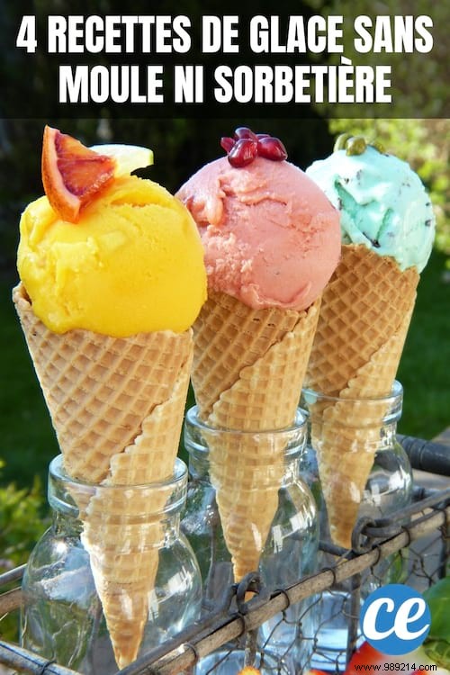 4 Easy Homemade Ice Cream Recipes WITHOUT Mold Or Ice Cream Maker. 