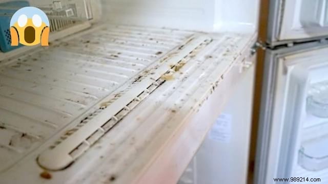 How to Clean a Moldy Fridge (WITHOUT Using Bleach). 