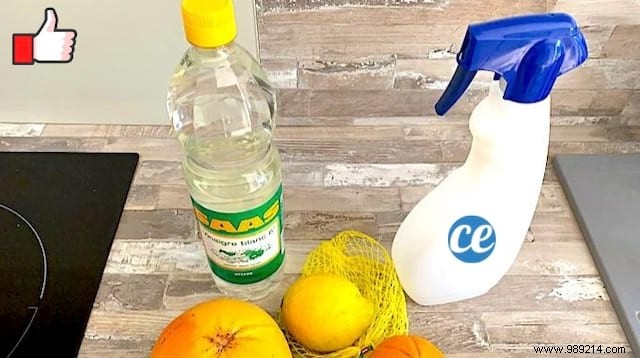 The Citrus Scented All Purpose Disinfectant Cleaner Recipe. 
