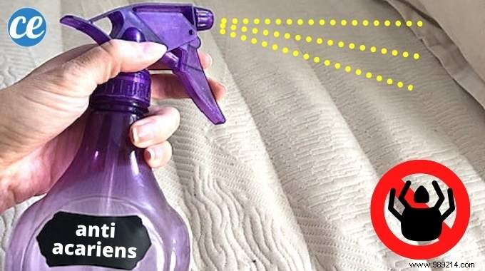 The Natural Spray that Eliminates Dust Mites on the Mattress. 
