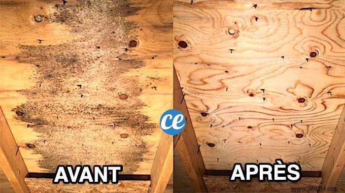 How to Remove Mold From Wooden Furniture (Easy &Fast). 