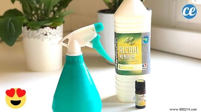 The Long-Lasting Air Freshener That Scents the Home for 1 Week. 