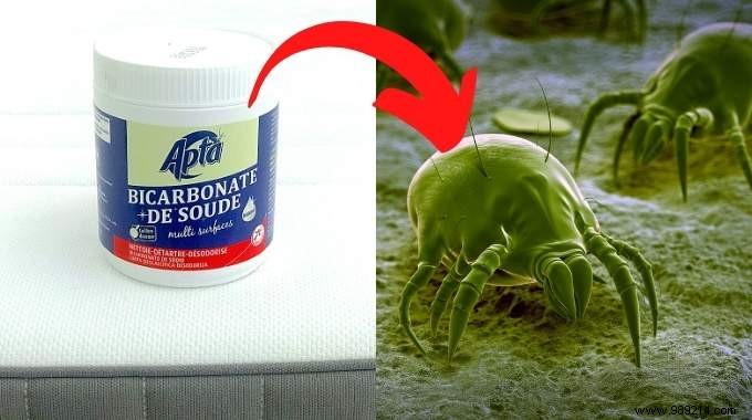 How to Get Rid of Dust Mites With Baking Soda. 