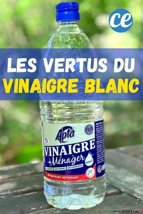 13 Incredible Properties of White Vinegar to Know Absolutely. 