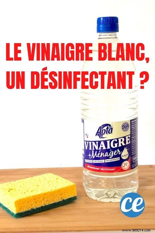 Is White Vinegar Disinfectant? The Answer Here. 