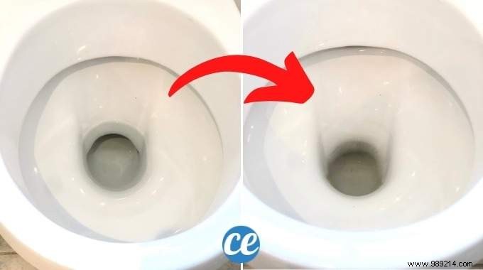 How To Empty Water From The Toilet (And Clean The Bottom Easily). 