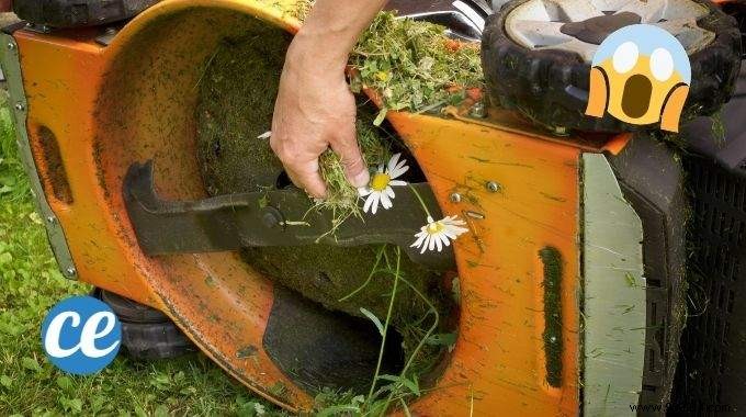 The Easy Trick To Clean A Lawnmower Full Of Weeds. 