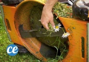 The Easy Trick To Clean A Lawnmower Full Of Weeds. 