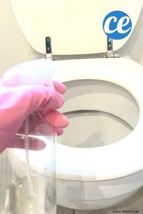 Dirty and yellowed toilet seat? How to clean it easily. 