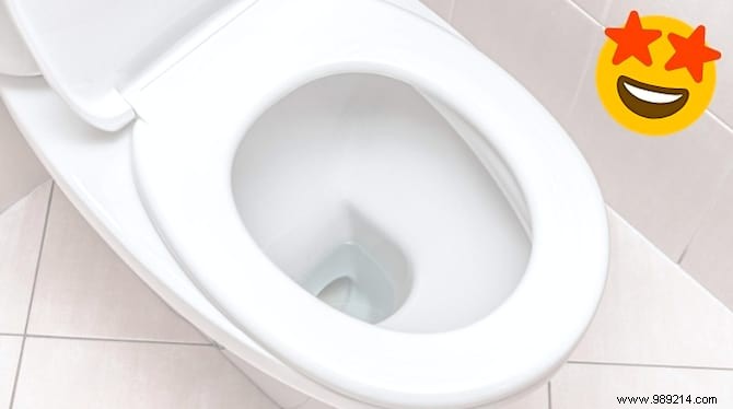 Toilet Cleaning:6 Natural Tips For Finding Nickel Toilets. 