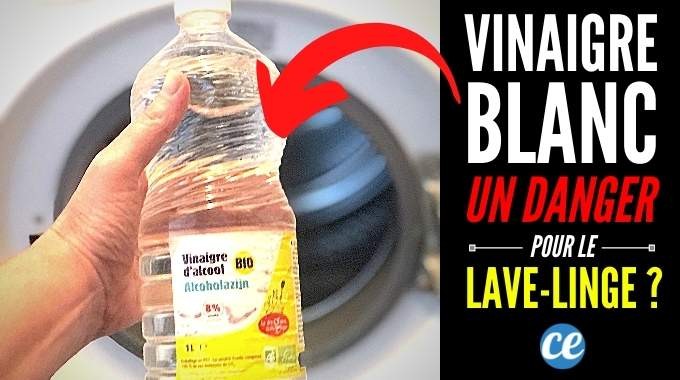 Does White Vinegar Damage the Washing Machine? The Answer Here. 