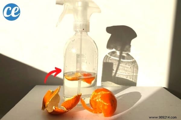 Don t Throw Away the Skin of Clementines! 13 Amazing Ways to Use Them. 