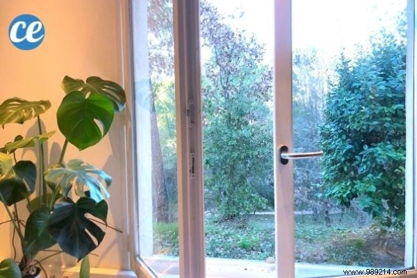 11 Natural Tips for Humidifying the Air in Your Home (WITHOUT a Humidifier). 