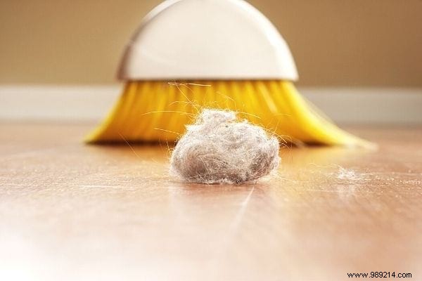 How Often Should You (Really) Dust at Home? 