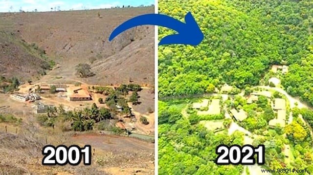 This Couple Planted 2 Million Trees In 20 Years To Reforest A Forest (And Even The Animals Came Back). 