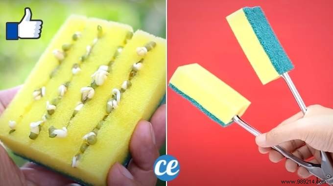 15 Amazing Ways to Use a Sponge Nobody Knows. 