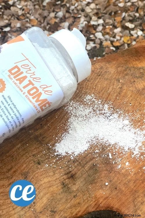 20 Amazing Uses of Diatomaceous Earth Nobody Knows About. 
