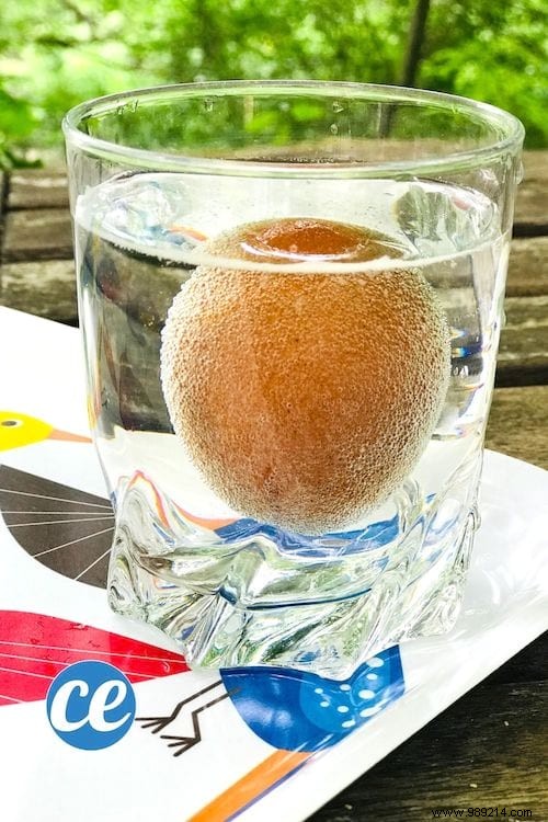 Incredible ! How to Turn a Raw Egg into a Bouncing Ball. 