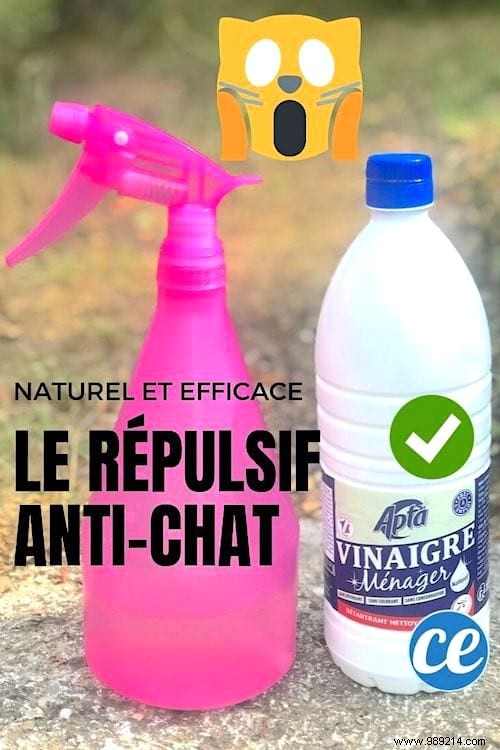 The Natural And Highly Effective Repellent ALL CATS HATE! 