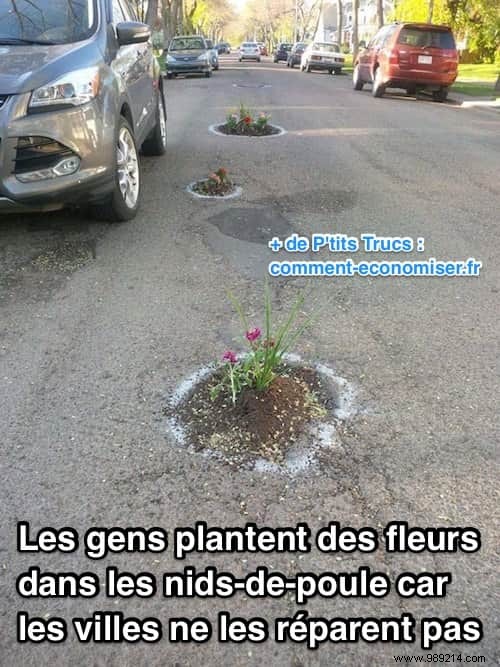 Cities Don t Fix Potholes. The inhabitants decide to plant flowers there. 