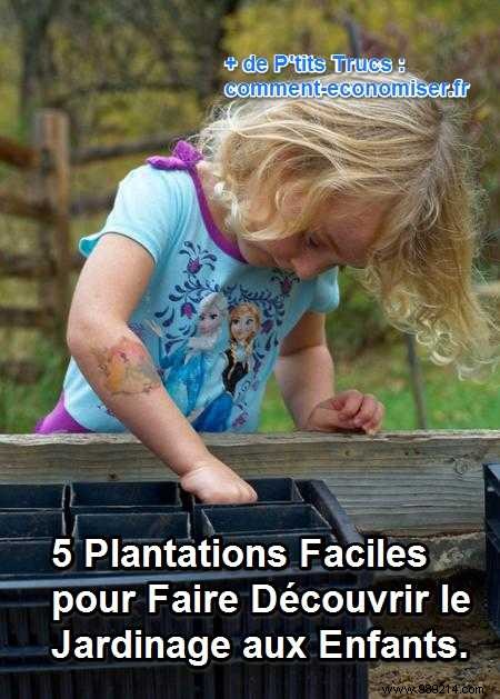 5 Easy Plantings to Introduce Kids to Gardening. 