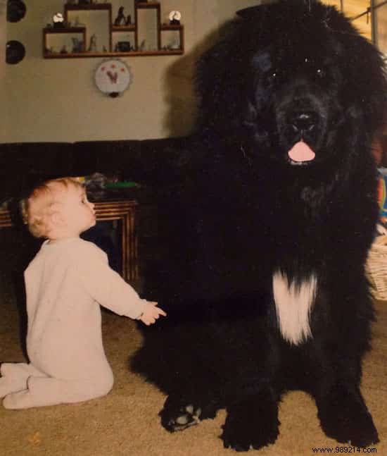 20 Amazing Photos of Little Kids With Their HUGE Dogs. 