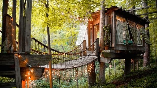 This Stunning Tree House Won t Leave You With Wood! 
