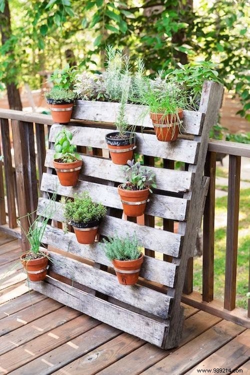 28 Great Ideas To Beautify Your Garden Easily. 