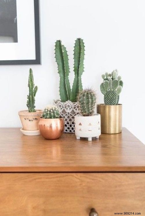 25 Great Decoration Ideas With Succulents. 