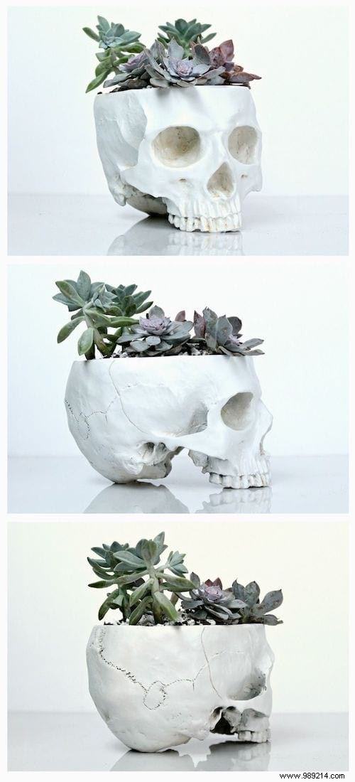 25 Great Decoration Ideas With Succulents. 