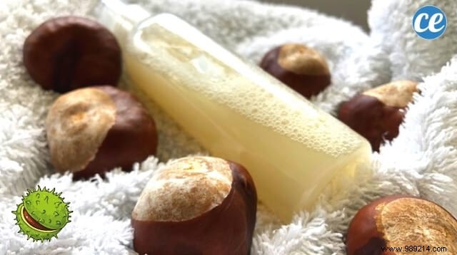 Homemade Shower Gel:My Natural and Super Moisturizing Recipe with Chestnuts. 