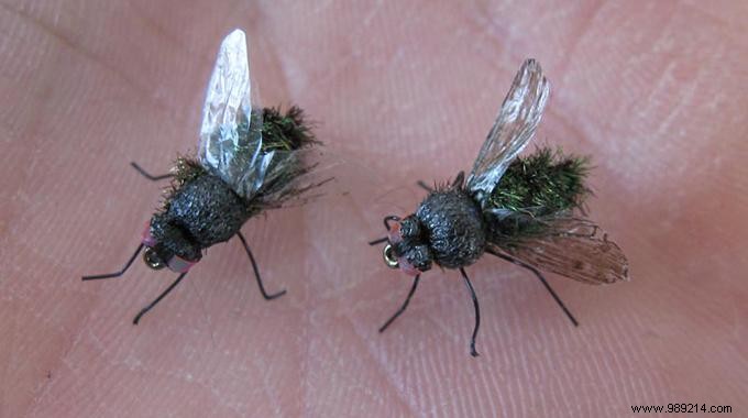 5 Tips To Get Rid Of Flies. 