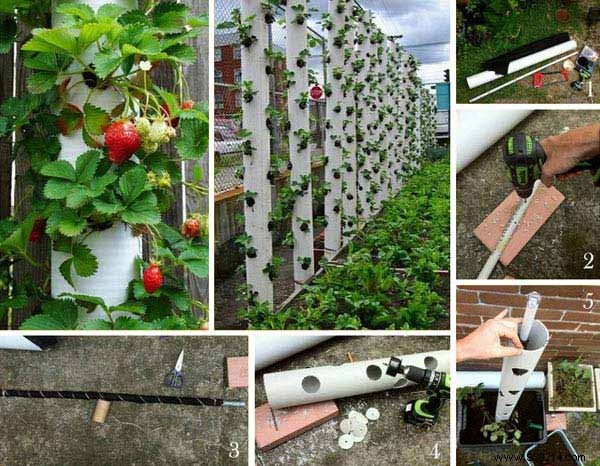 23 Ingenious Tricks To Simplify Your Gardening. 