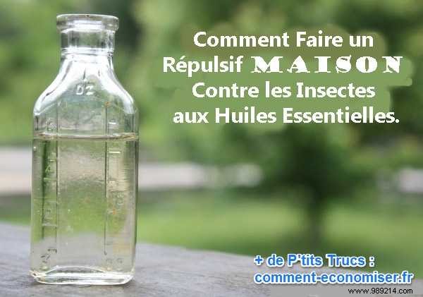 Effective and Easy to Make:Insect Repellent With ONLY 2 Ingredients. 
