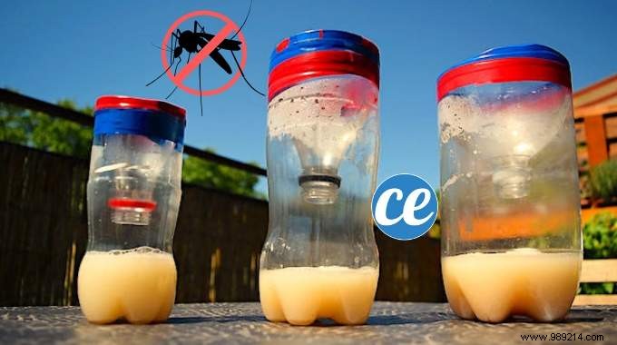 How To Make A Super Effective Mosquito Trap In 6 Steps. 