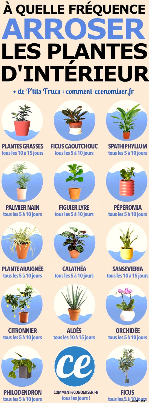 How Often Should You Water Indoor Plants? The Simple And Practical Guide. 