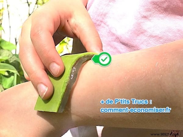 No More Mosquito Bites With This 100% Effective Natural Repellent! 