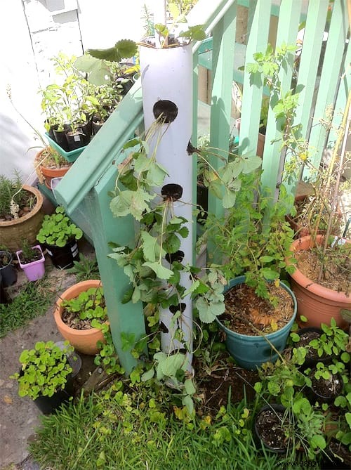 20 Clever Ways to Use PVC Pipes in the Garden. 