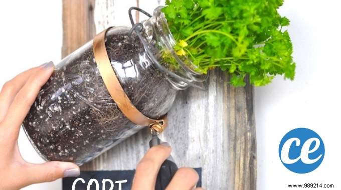 How to turn jars into a herb garden. 
