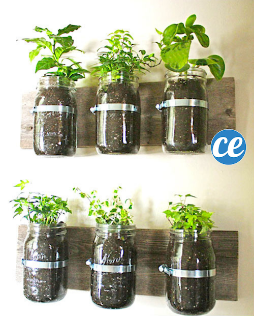 How to turn jars into a herb garden. 