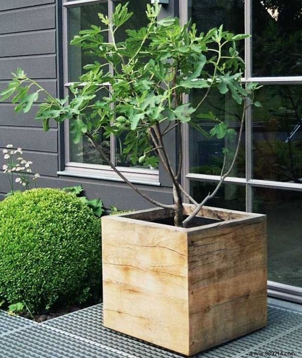 20 Great Recycling Ideas To Save Money In The Garden. 