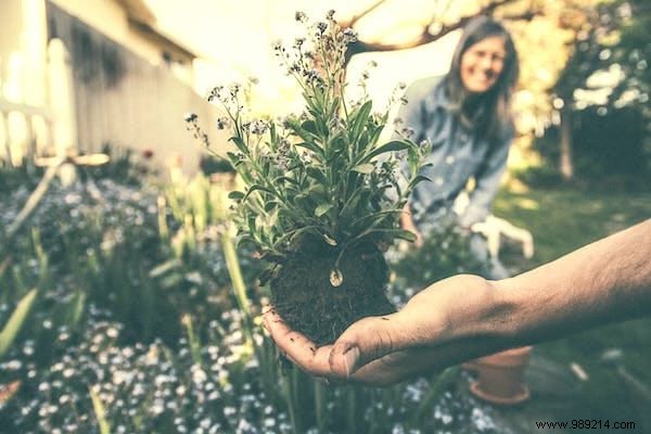 30 Gardening Secrets To Simplify Your Life. 