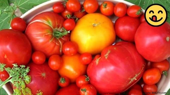 The Gardener s Secret To Growing Tomatoes In Just 1 Week. 