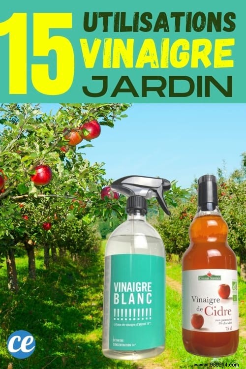 15 Good Reasons to Use Vinegar in the Garden. 