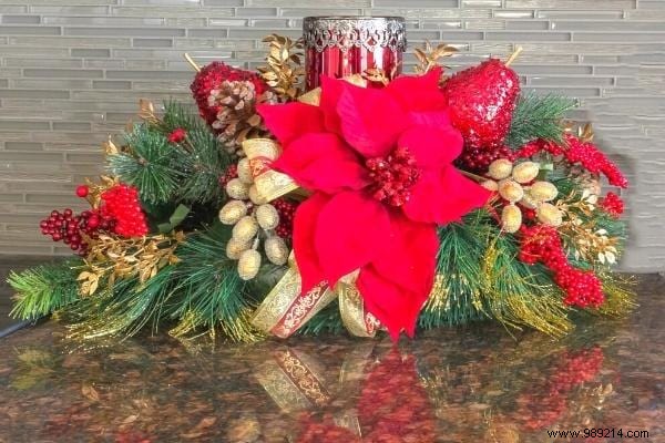 The 8 Most Beautiful Christmas Flowers (To Have at Home During the Holidays). 